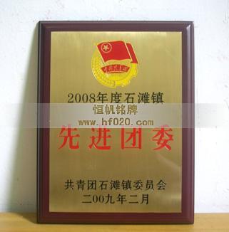 共青团增城市委